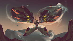 black and red butterfly illustration HD wallpaper