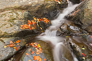 water flow on stone during daytime HD wallpaper