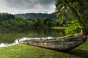 brown log on green grass field in front of river, wailau, highlands HD wallpaper