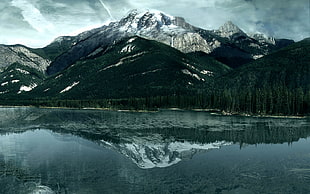 alps surrounded by trees, mountains, forest, reflection, Canada