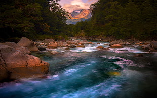 body of water, nature, landscape, river, rapids HD wallpaper