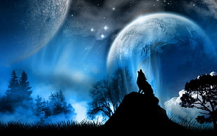 blue, black, and white wolf photo beside moon