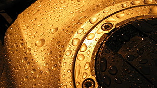Surface,  Gold,  Drops,  Water