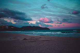 blue and pink cloudy skies HD wallpaper