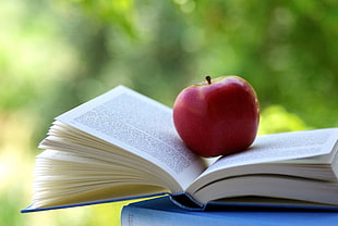 red ripe apple on opened book HD wallpaper