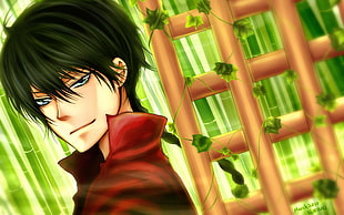 black haired man anime character HD wallpaper