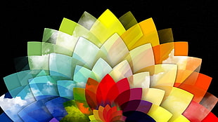 leaf-edge multicolored illustration