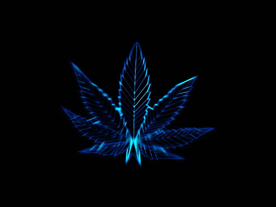 blue cannabis illustration HD wallpaper