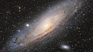Andromeda HD wallpaper
