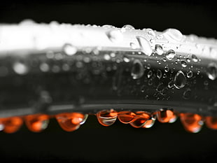 macro photography of water
