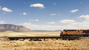 brown train, landscape, train, vehicle HD wallpaper