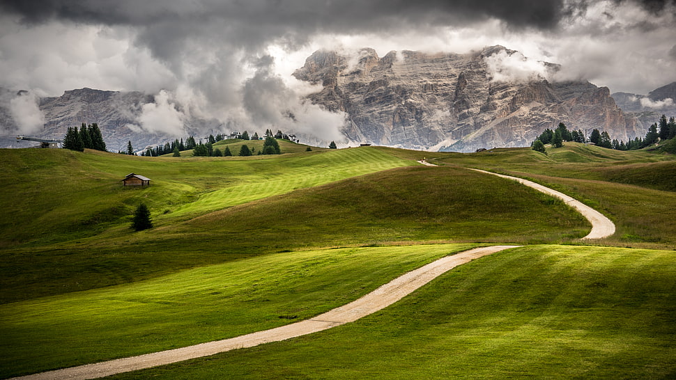 photography of green grass field under white sky, italy HD wallpaper