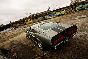 gray and black Ford Mustang Eleanor HD wallpaper
