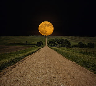brown road and full moon, nature, abstract, flowers