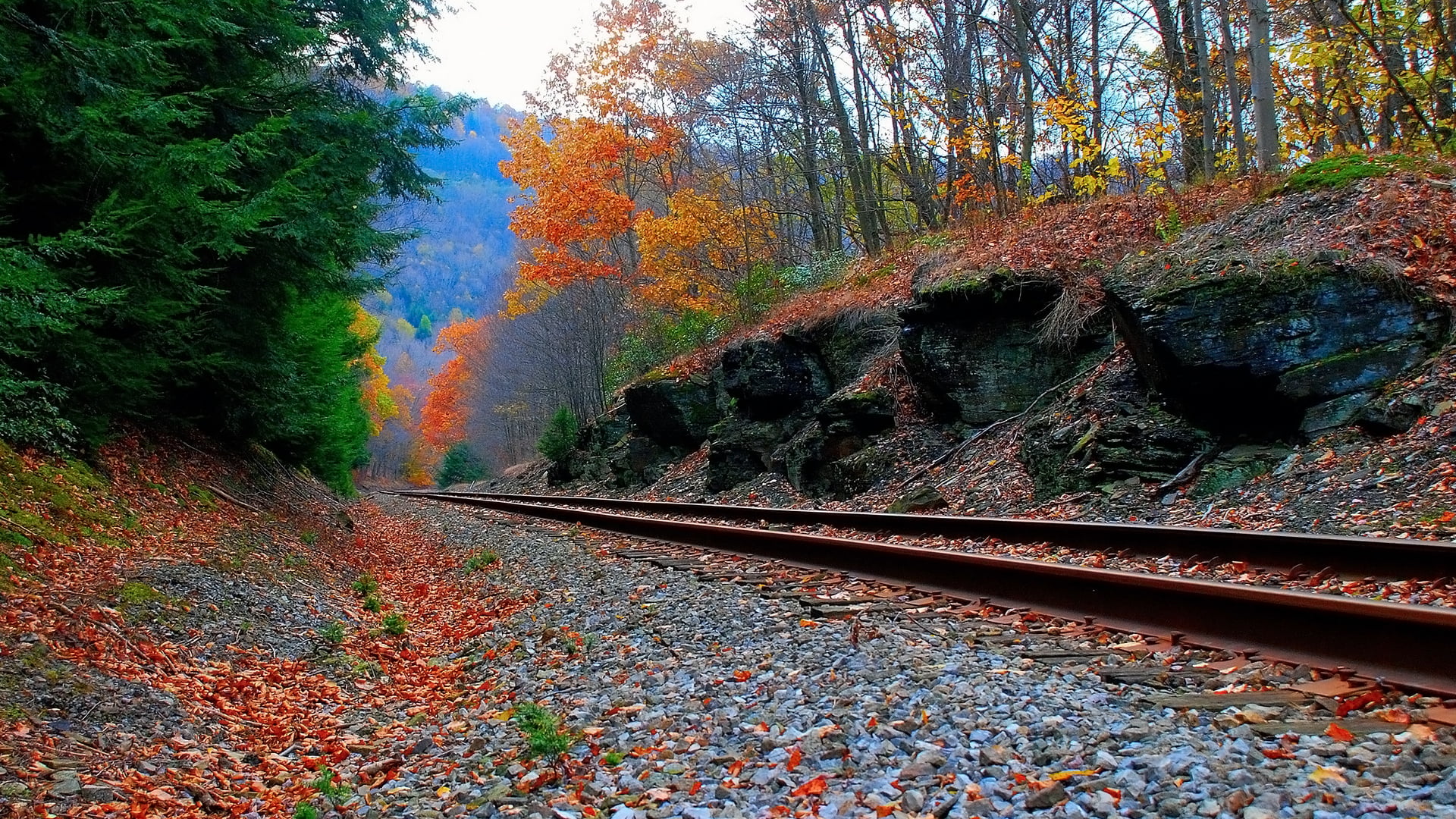 train rails surrounded with trees during daytime, railway, landscape, trees, rock