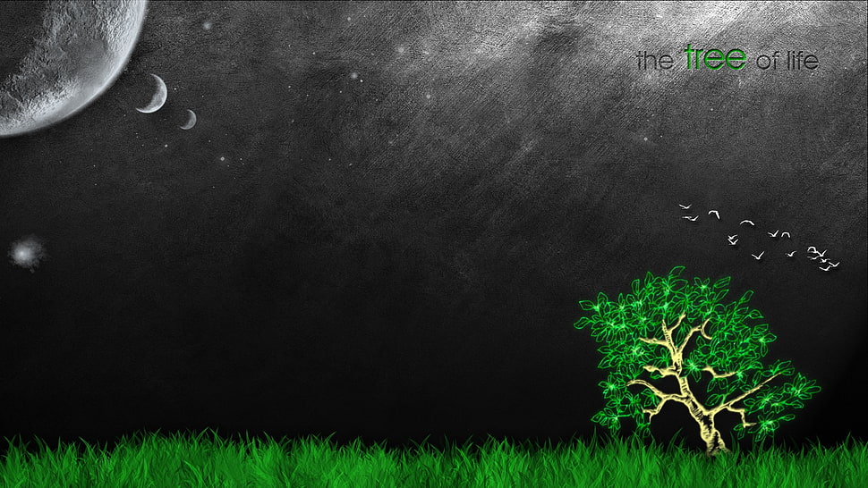 tall tree and moon digital wallpaper, trees, life HD wallpaper