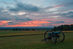black and blue artillery cannon on green grass during daytime HD wallpaper