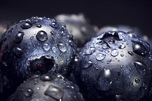 close up photo of two blueberries