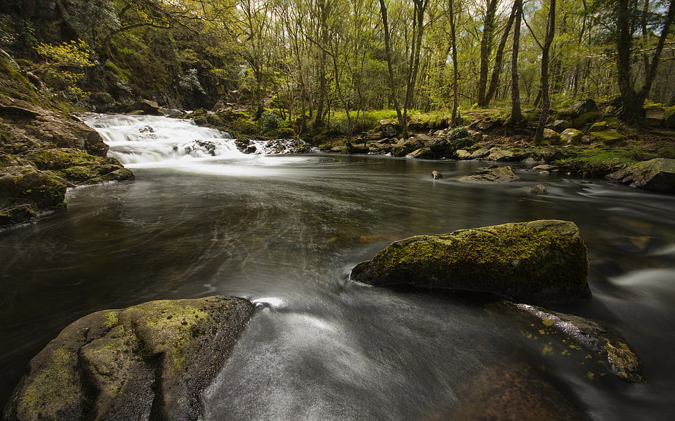 flowing river water near trees at daytime HD wallpaper