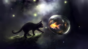 black cat and orange fish 3D illustration, Apofiss, cat, goldfish, bubbles HD wallpaper