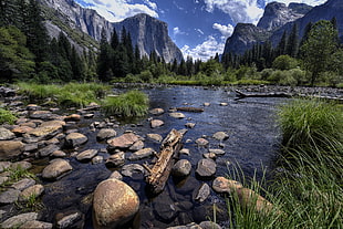 body of water surrounded by trees and plants with mountain background, yosemite valley, merced river, yosemite national park