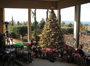 Christmas tree between pile of gifts and plush toys near glass window