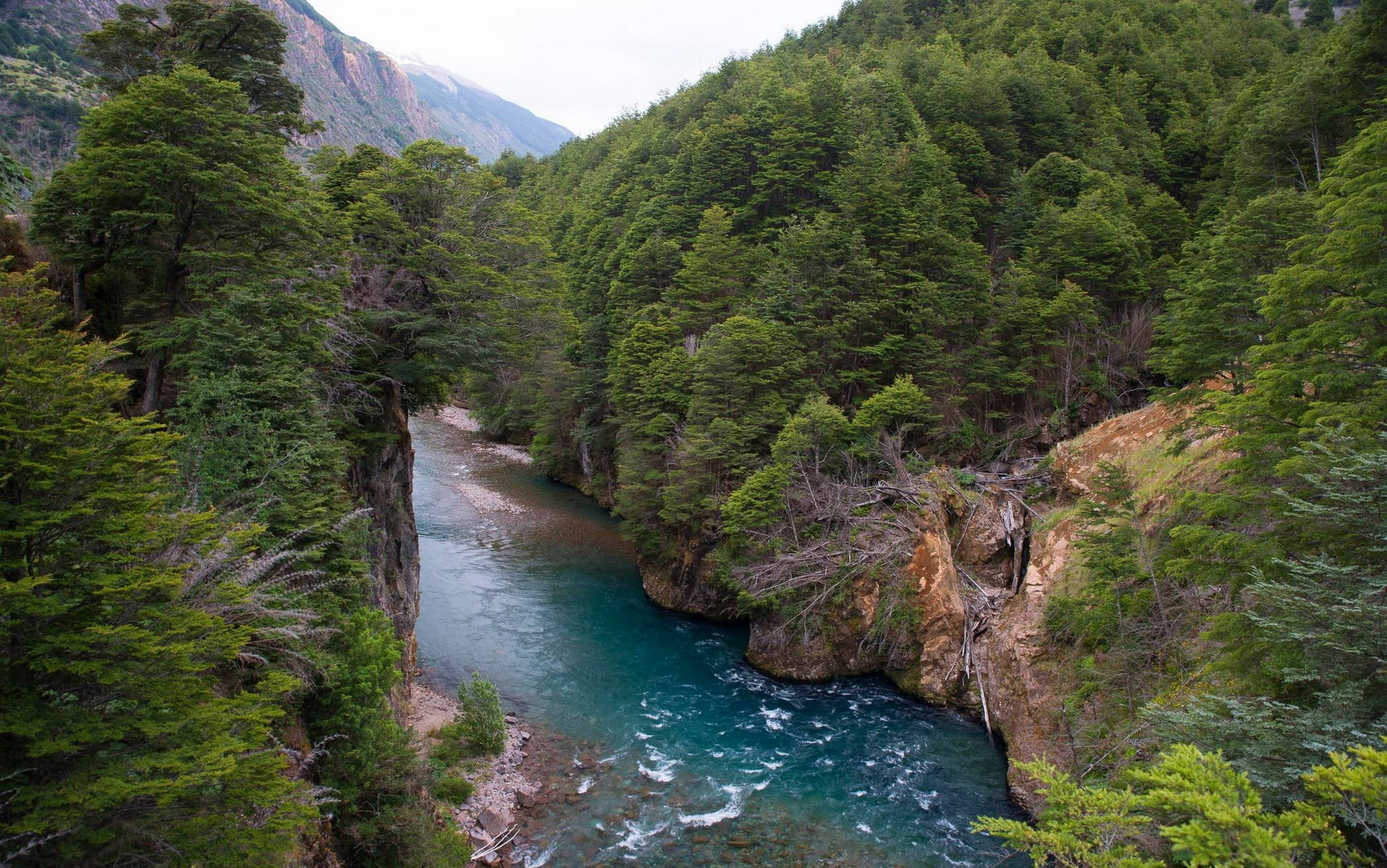 green trees, nature, landscape, mountains, forest