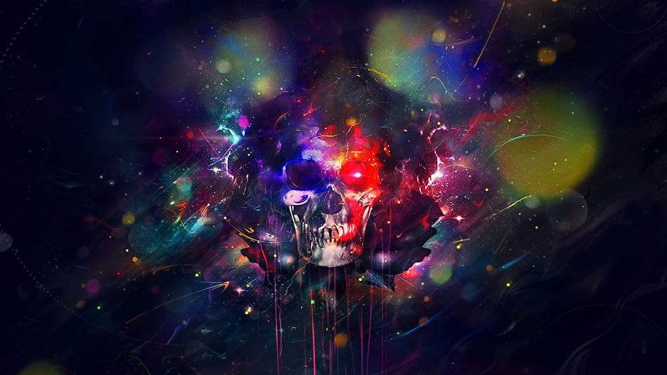 multicolored skull illustration HD wallpaper