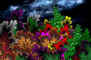 assorted flowers