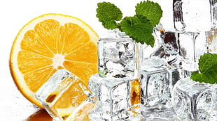 lime with ice cube wallpaper