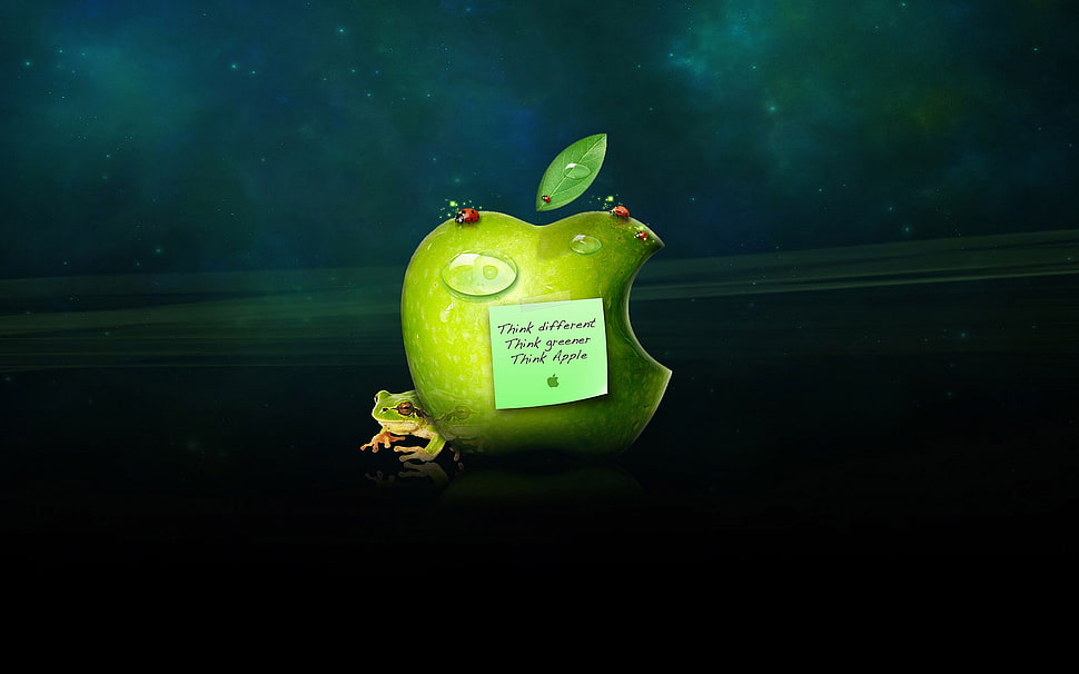 green apple logo HD wallpaper