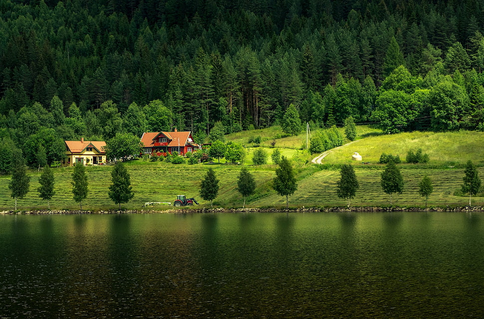 brown and black wooden wall decor, trees, lake, cabin, cottage HD wallpaper