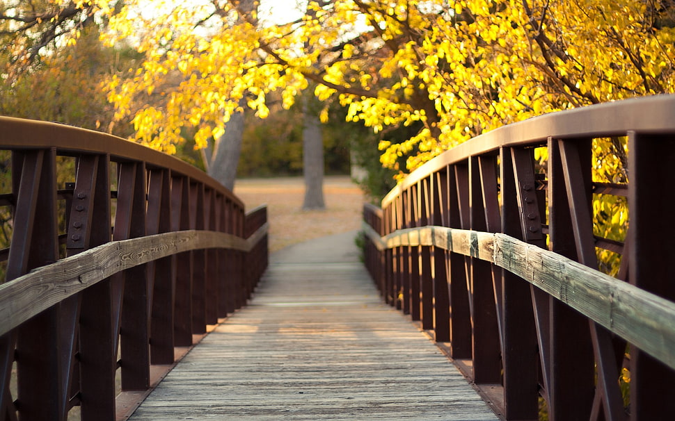brown wooden bridge, bridge, wood, trees, leaves HD wallpaper