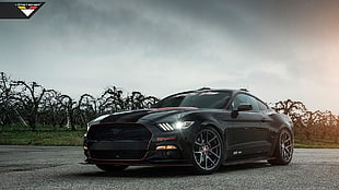 black Ford Mustang, Ford, Ford Mustang HD wallpaper