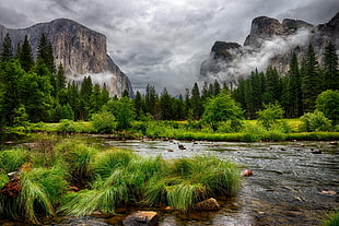 green trees and river wallpaper, nature, landscape, mountains, clouds