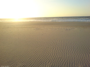 brown sands, beach, sea