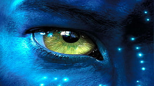 James Cameron's Avatar wallpaper, movies, Avatar, blue skin HD wallpaper