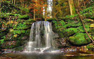 waterfalls between moss, nature, landscape, waterfall, water HD wallpaper