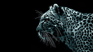 cheetah, leopard, black background, Fractalius, animals