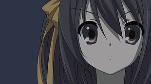 gray haired female anime character, The Melancholy of Haruhi Suzumiya, Suzumiya Haruhi  HD wallpaper