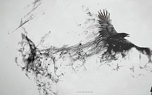 black eagle sketch, raven, digital art, photo manipulation, monochrome HD wallpaper