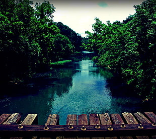 brown wooden dock, wood, water, river