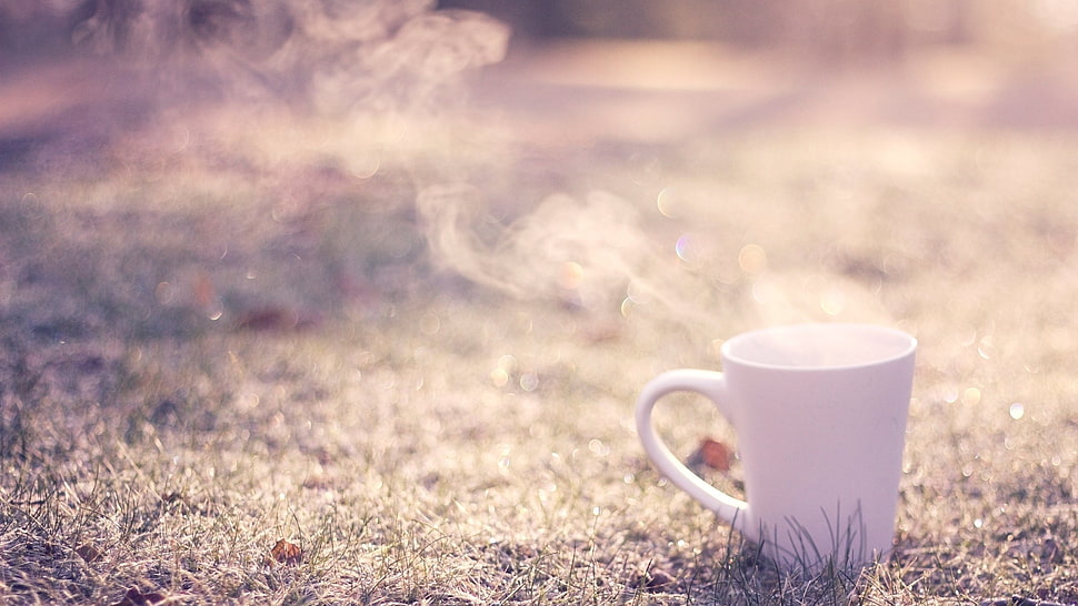 white ceramic mug, cup, grass HD wallpaper