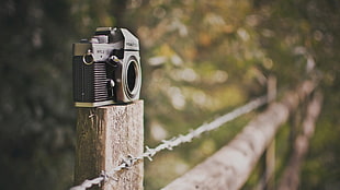 black and gray SLR camera, barbed wire, camera, fence, bokeh
