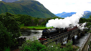 black steam locomotive train, nature, landscape, trees, Scotland