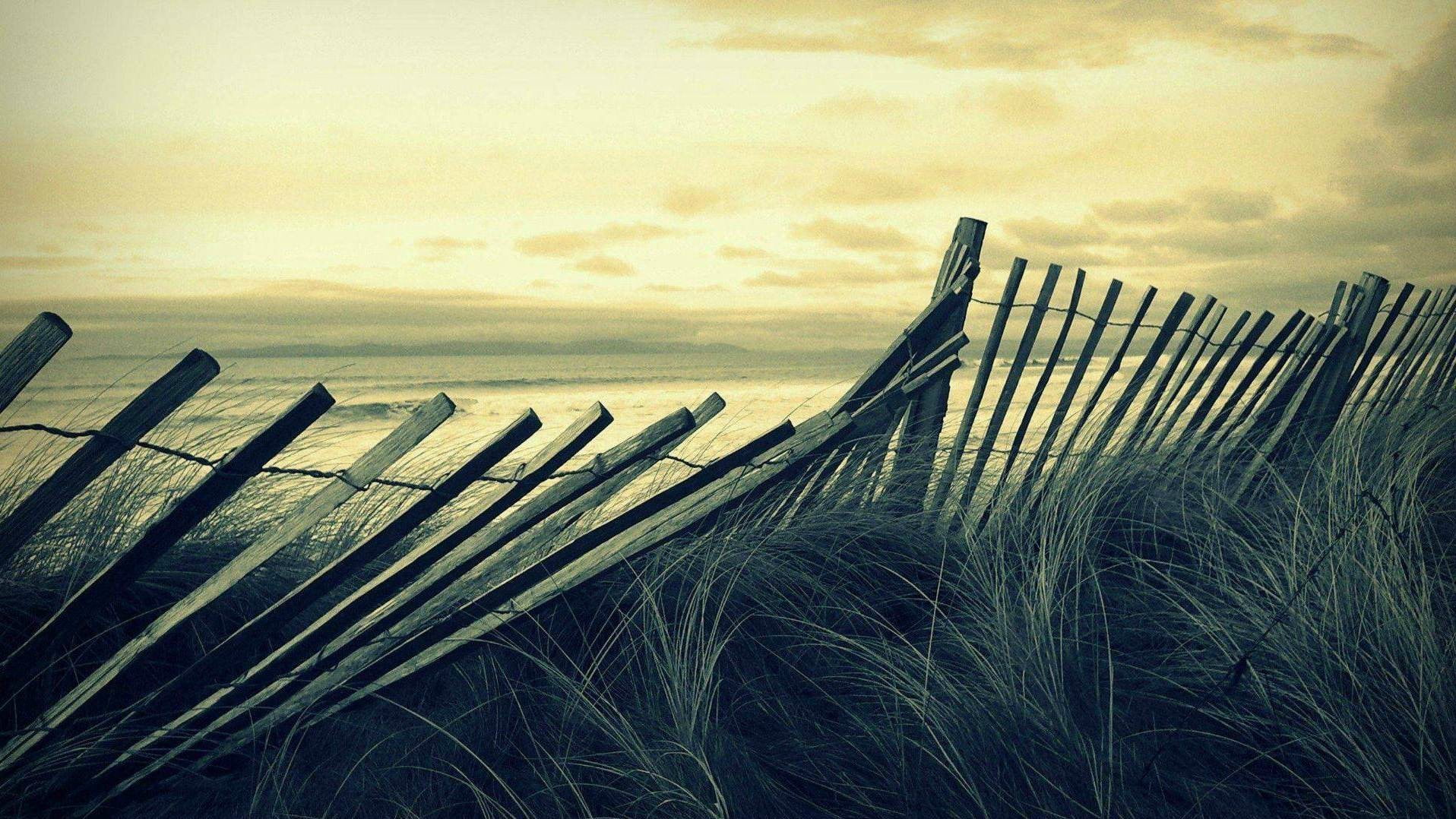 brown wooden fence, fence, sea, grass, sky