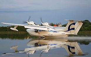 white and blue plane on body of water under blue sky at daytime