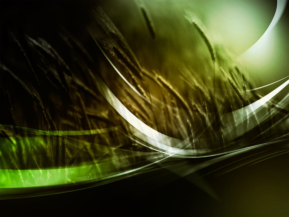 green grass field 3D wall paper HD wallpaper