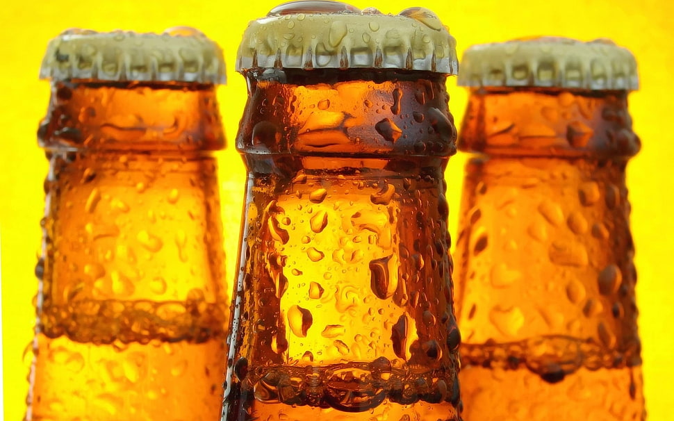 three clear brown glass beer bottles HD wallpaper