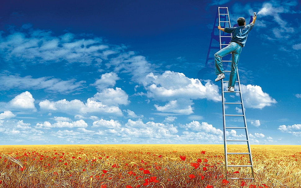 men's blue denim pants, sky, clouds, field, flowers HD wallpaper